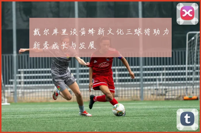 戴尔库里谈黄蜂新文化三球将助力新秀成长与发展