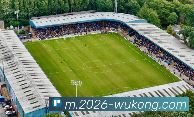 悟空体育平台生态图