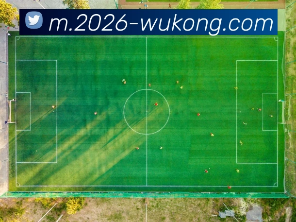 数据防护可视化